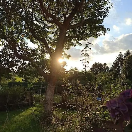 Casa Filada - Ferienort Fuer Alle Laubach  Exterior foto